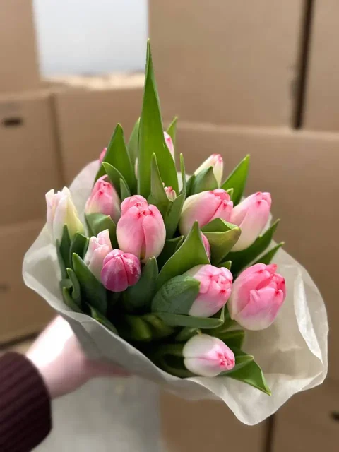 Заказ тюльпанов к 8 марта - Сладости и десерты в Самара