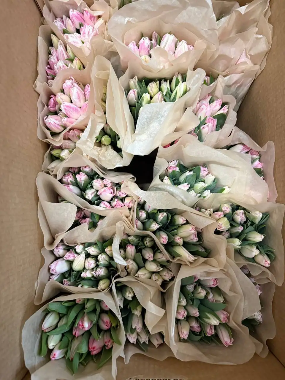 Заказ тюльпанов к 8 марта - Цветы (Барахолка) в Самара
