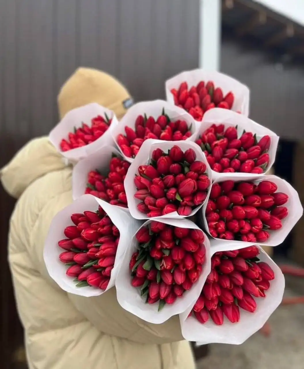 Предзаказ свежих голландских пионовидных тюльпанов - Цветы (Хобби и отдых) в Самара