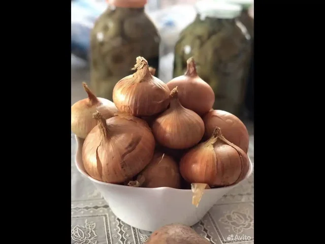 Доставка корнеплодов в Самару - Для животных в Самара