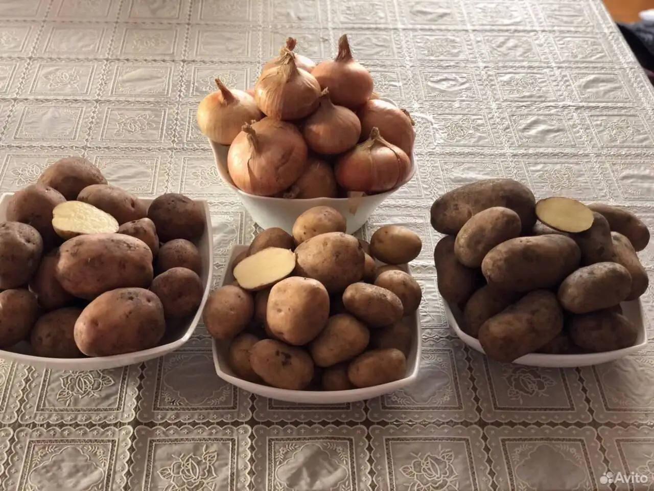 Доставка корнеплодов в Самару - Продукты питания (Барахолка) в Самара