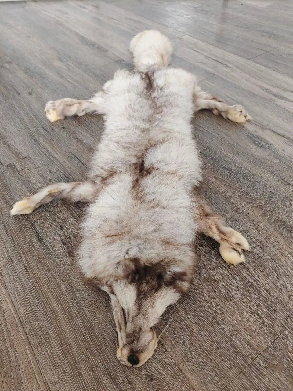 Изделия из меха и шкур - Изделия из меха и шкур (Барахолка) в Самара