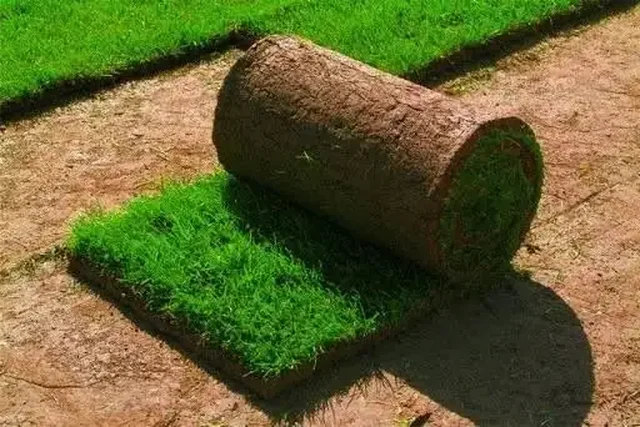 Услуги по благоустройству участков: газоны и автополив - частное объявление в Самара