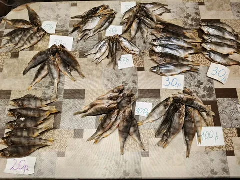 Продажа вяленой рыбы - Двери в Самара