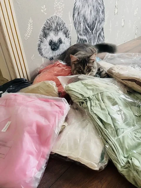 Продажа женской одежды и комплектов - частное объявление в Самара