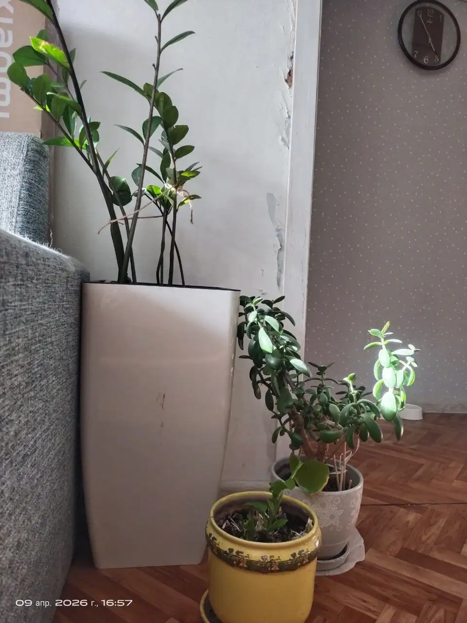 Продажа в Самаре - Барахолка в Самара