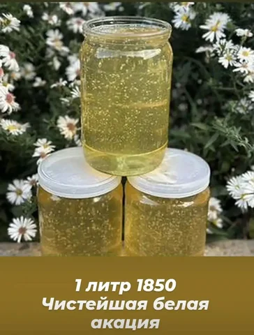 Натуральный южный мед - Хобби и отдых в Самара