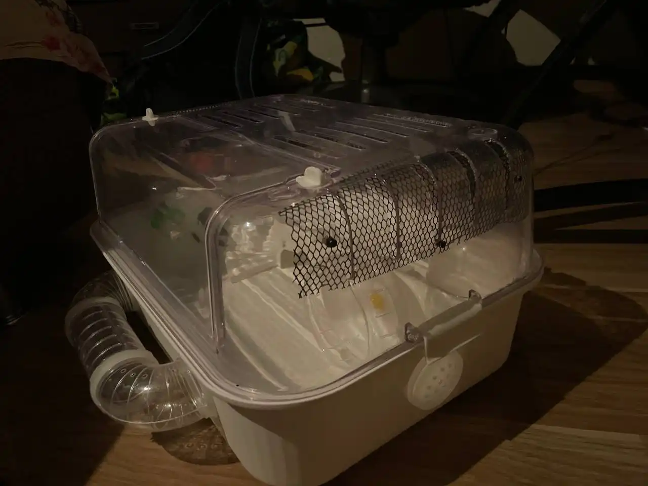 Террариум для джунгарика с аксессуарами