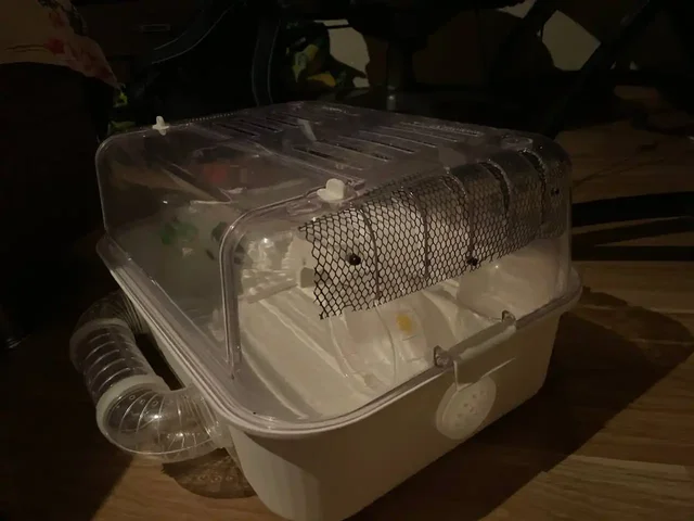 Террариум для джунгарика с аксессуарами - Животные в Самара