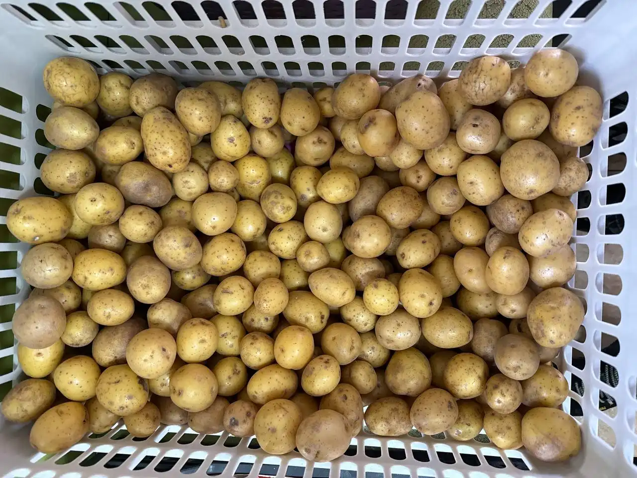 Доставка свежих фруктов и овощей