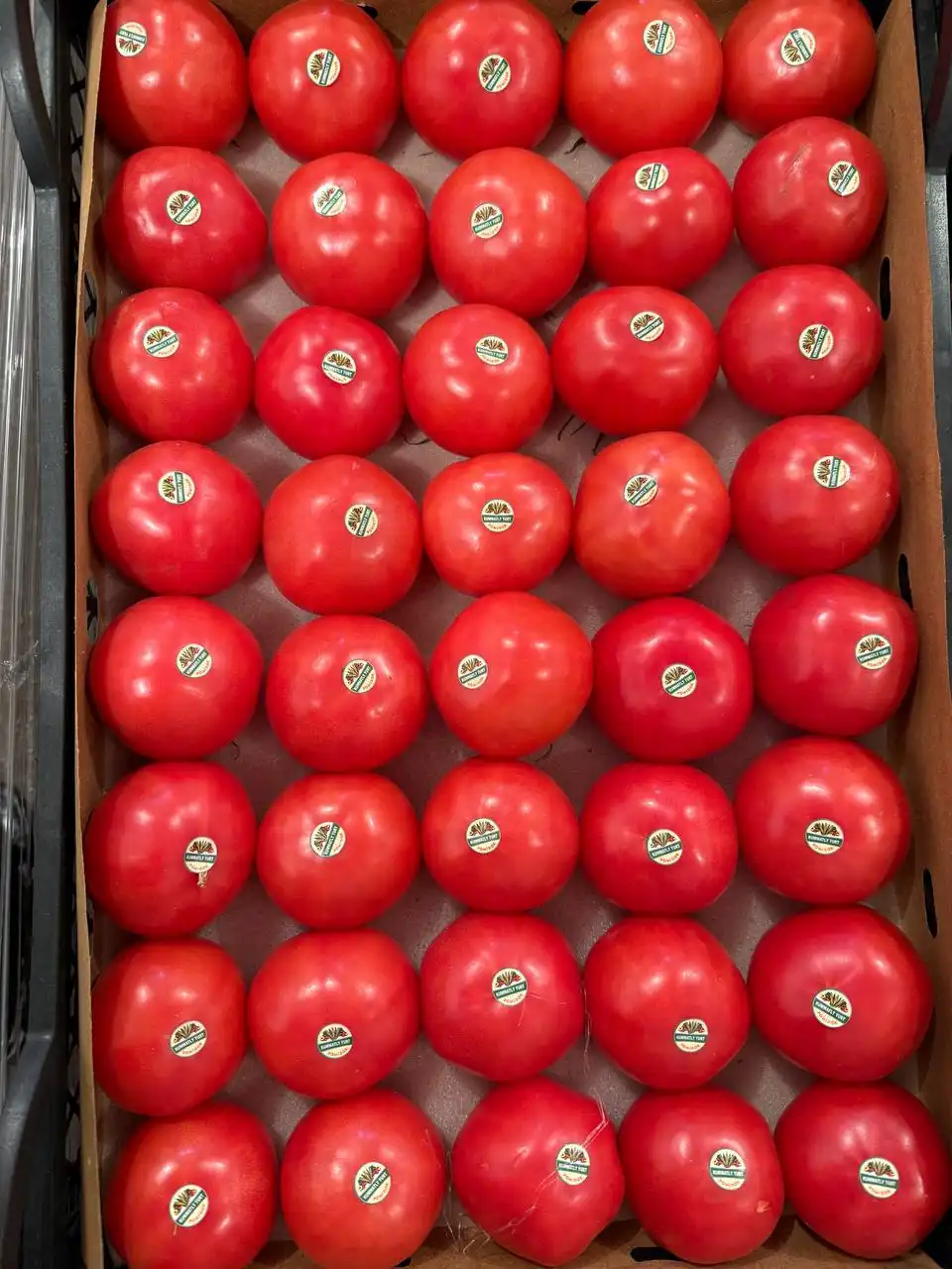 Доставка свежих фруктов и овощей в Самаре