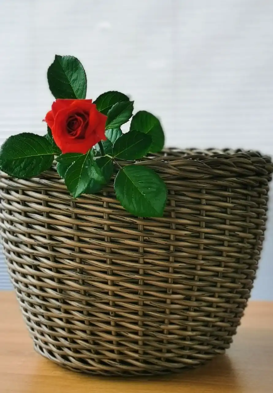 Мастер-класс по плетению из искусственного ротанга в Самаре