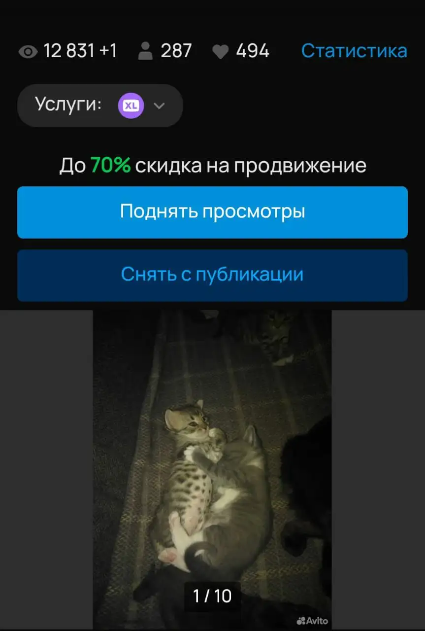 Отдам в добрые руки - Услуги в Москва