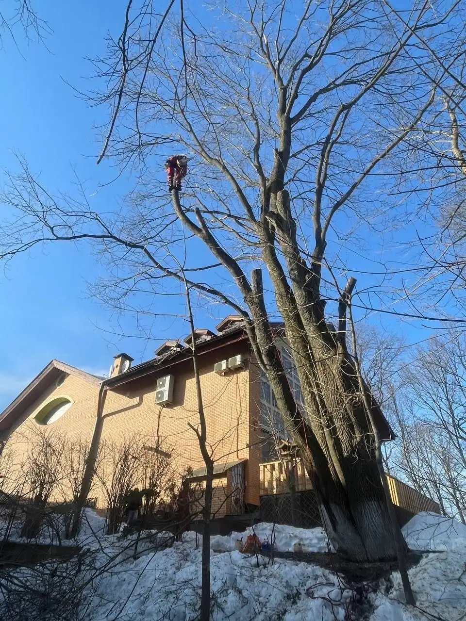 Услуги промышленного альпиниста и арбориста в Москве - Промышленный альпинизм (Услуги) в Москва