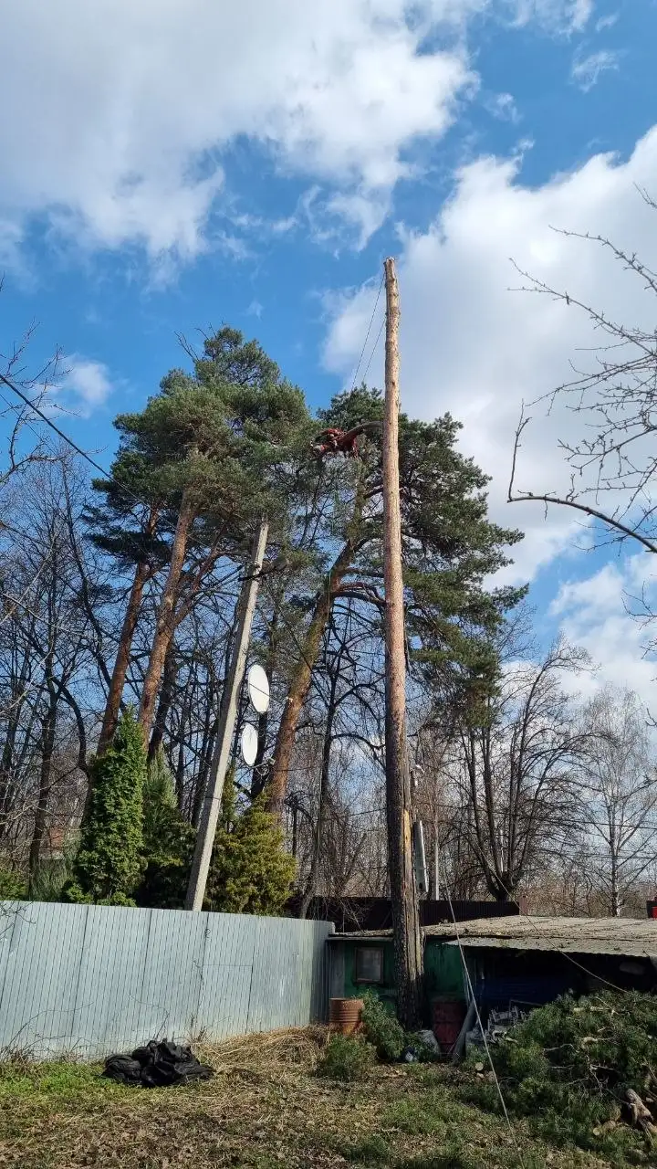 Услуги промышленного альпиниста и арбориста в Москве - Промышленный альпинизм (Услуги) в Москва