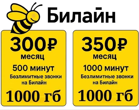Тариф Билайн в Махачкале - Услуги в Махачкала