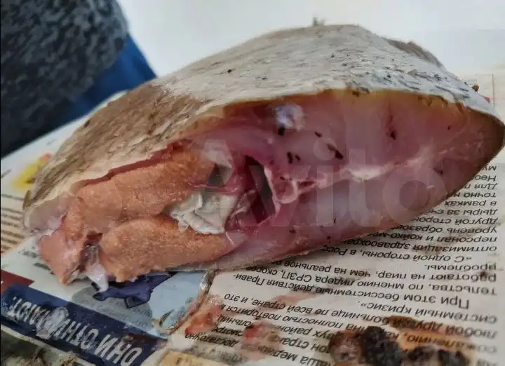 Продажа вяленой и копченой рыбы: лещ, толстолобик, сиг