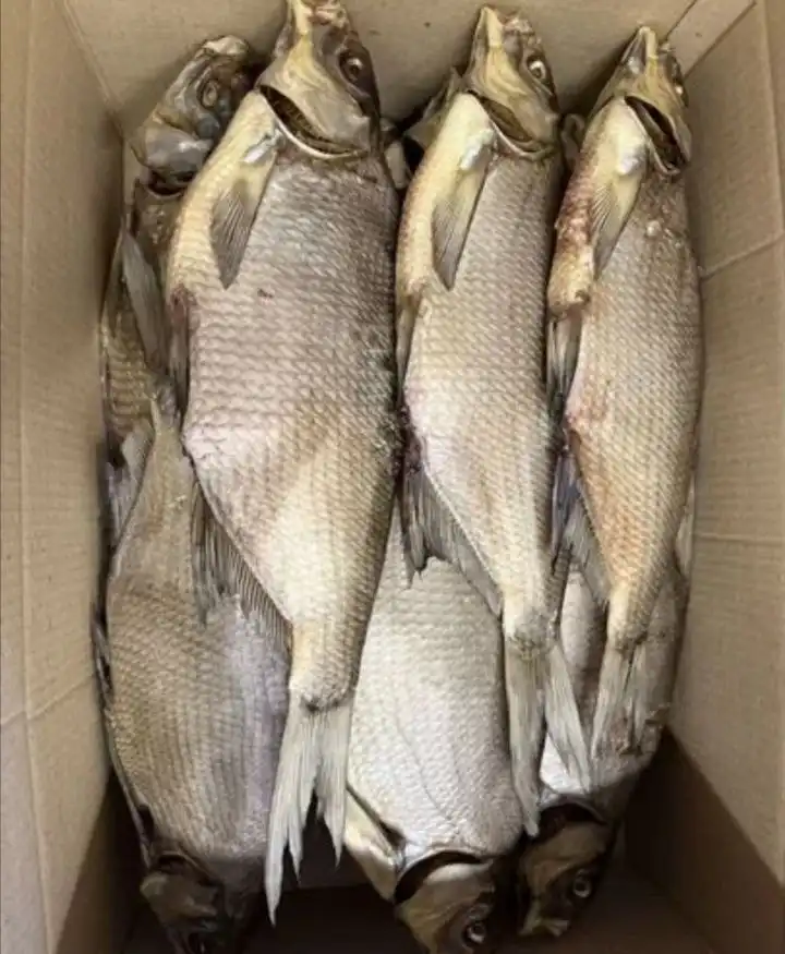 Продажа вяленой и копченой рыбы: лещ, толстолобик, сиг