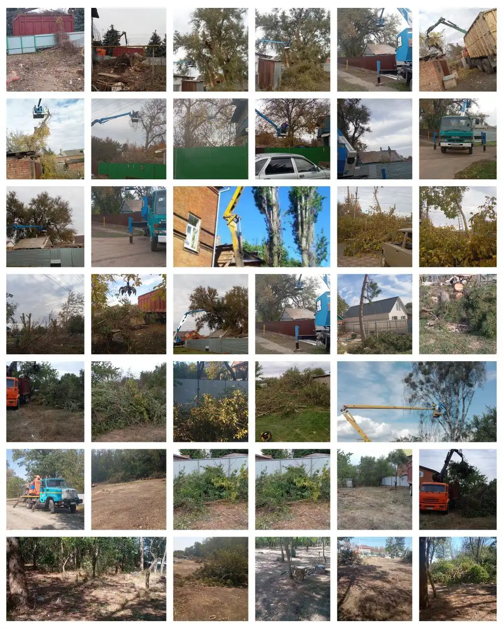 Спил аварийных деревьев и демонтаж построек в Ростове-на-Дону