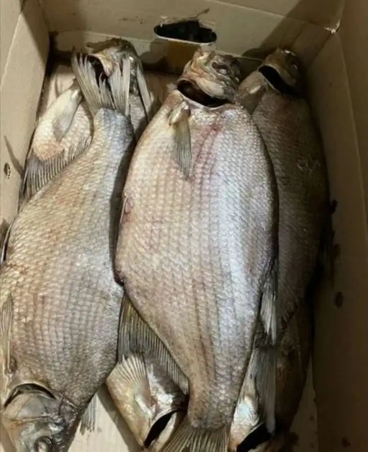 Продажа свежей вяленой рыбы