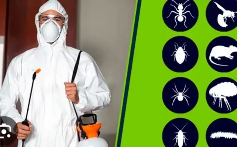 Услуги частного дезинфектора - Ремонт бытовой техники в Ростов-на-Дону