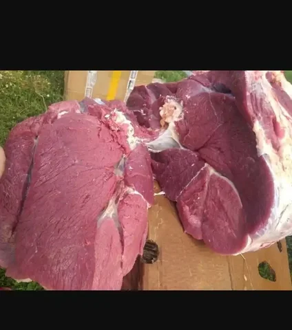 Забой бычка халяль сементальской породы - Животные в Чебоксары