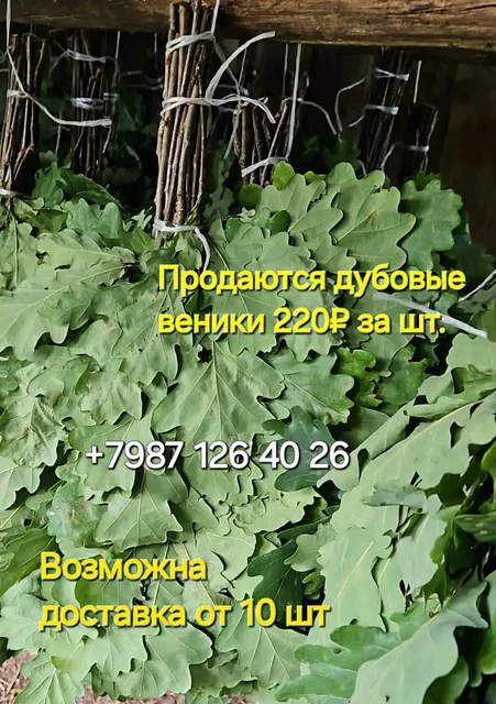 Продажа дубовых веников в Чебоксарах - Разное в Чебоксары