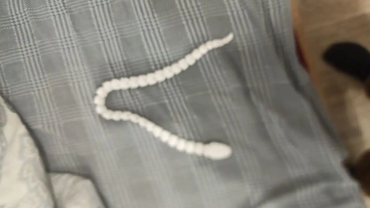 Объявление о купле-продаже-обмене в Чебоксарах - Барахолка в Чебоксары