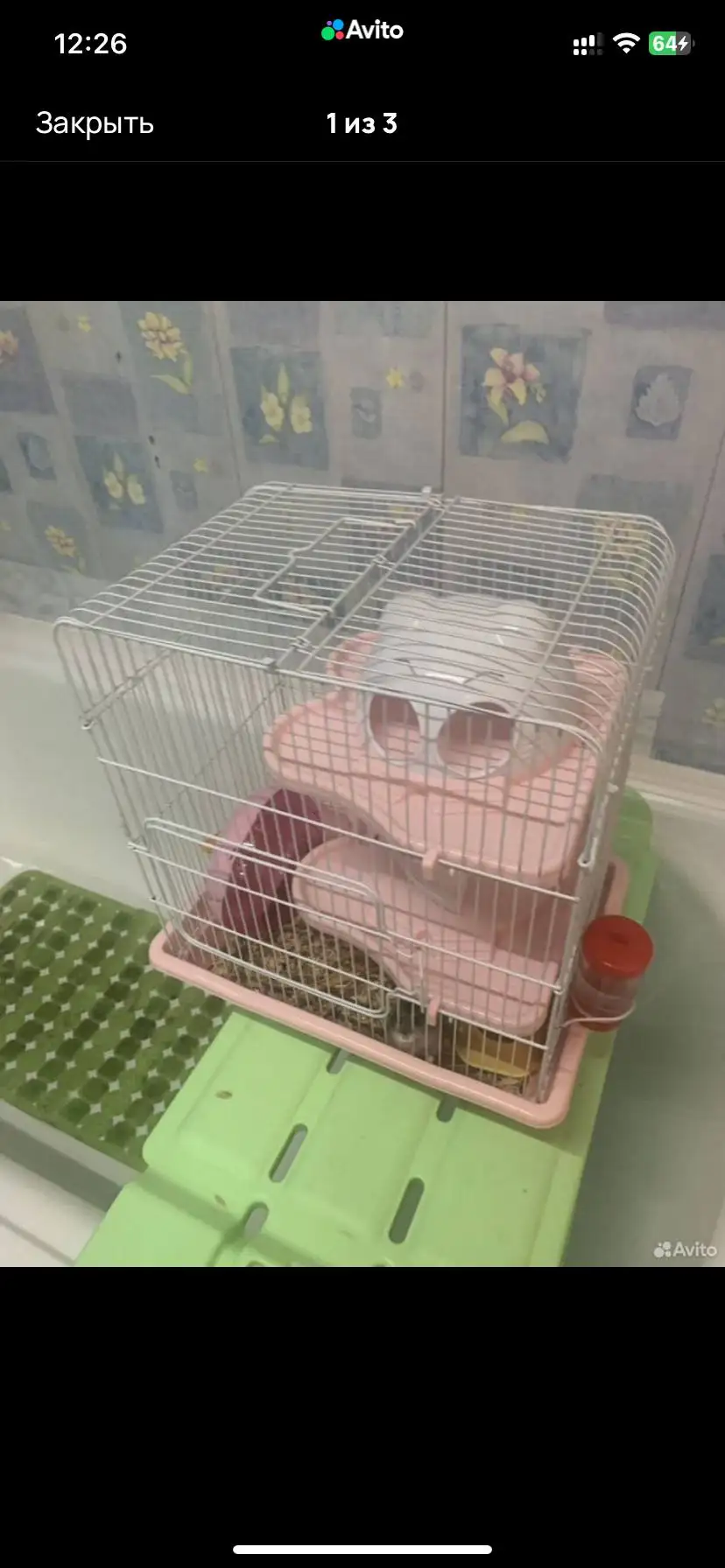 Клетка для хомяков с хомяком и аксессуарами - Хомяки и грызуны (Животные) в Чебоксары