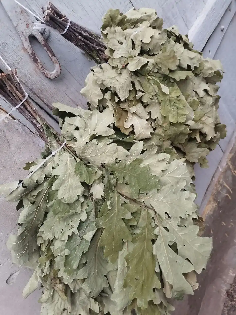 Продаем дубовые веники - Прочее (Барахолка) в Чебоксары