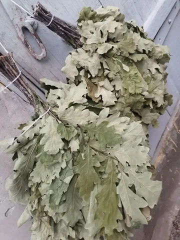 Продаем дубовые веники - Разбор в Чебоксары