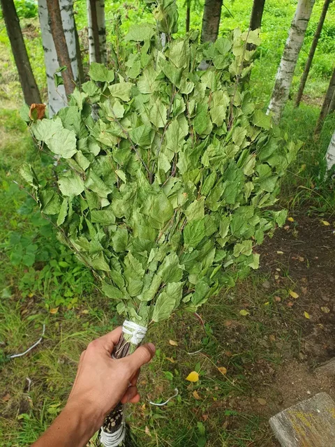 Продажа берёзовых веников - Десерты в Чебоксары