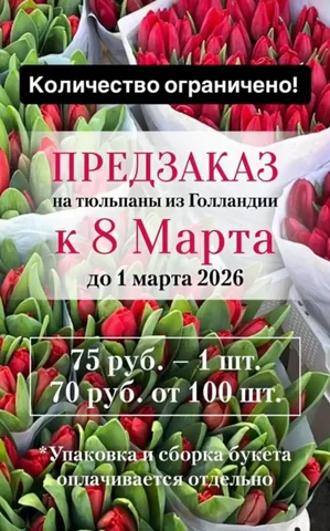 Свежие тюльпаны с длительной стойкостью - Цветы и букеты в Чебоксары