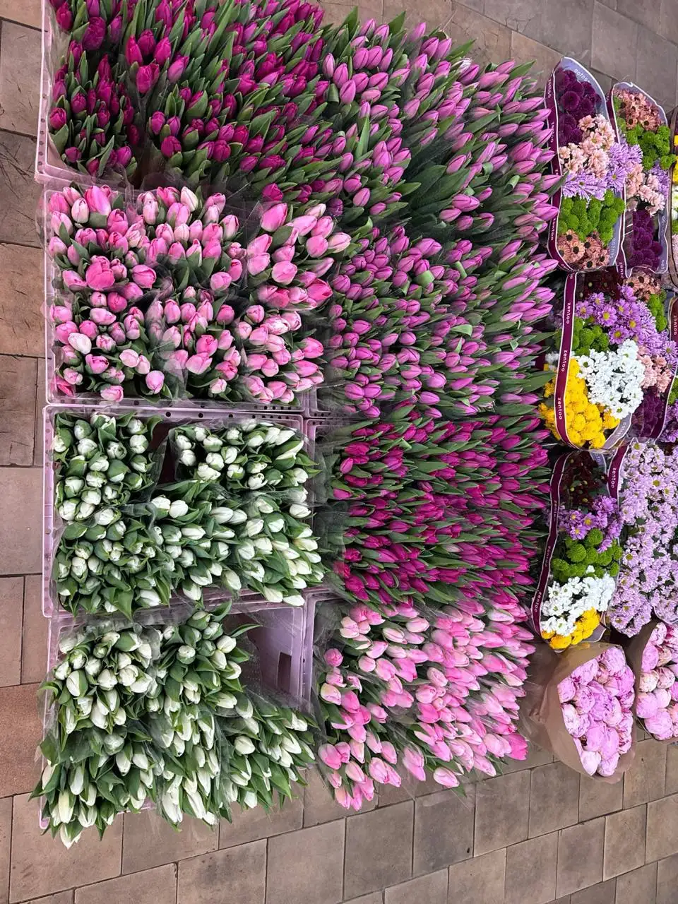 Тюльпаны к 8 Марта по предзаказу - null (Барахолка) в Чебоксары