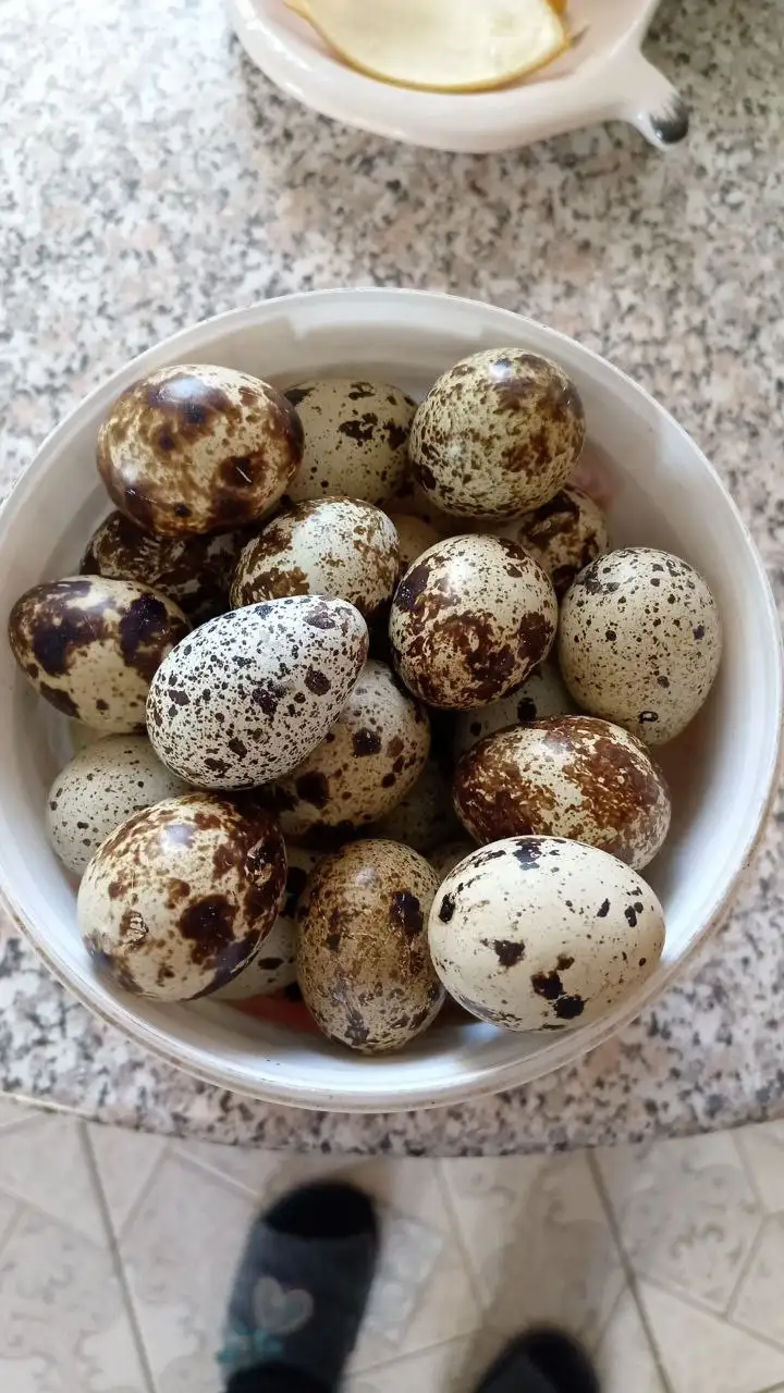 Продажа перепелиных яиц на колхозном рынке Чебоксары - Продукты питания (Барахолка) в Чебоксары