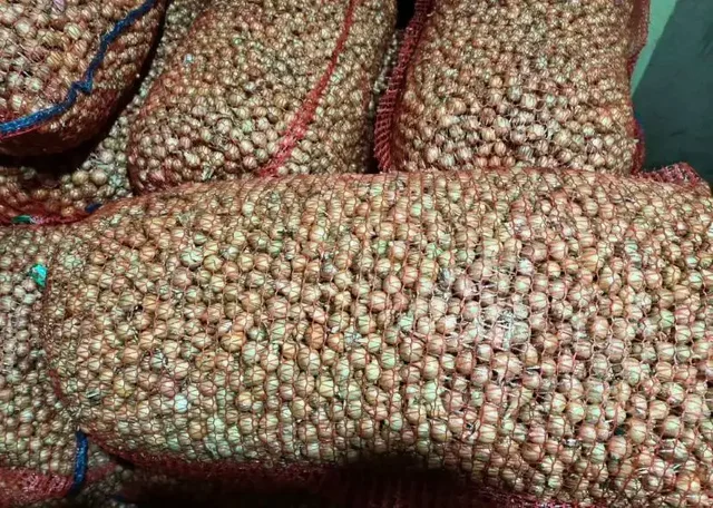 Продажа лука севка Штутгартер, Белый орел и семян чернушки - Парфюмерия в Чебоксары