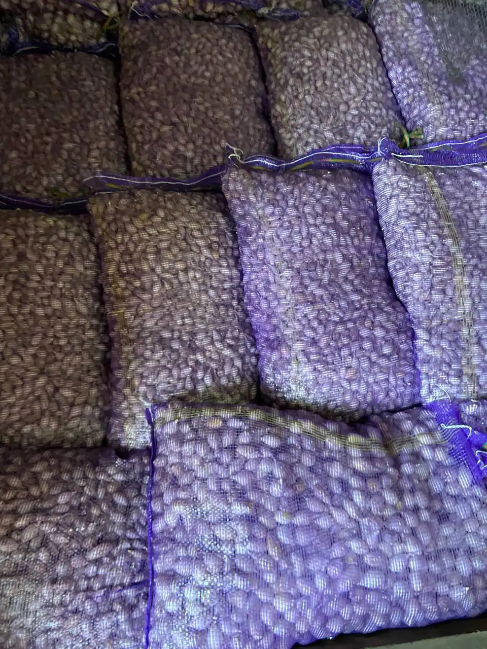 Продажа лука севка Штутгартер, Белый орел и семян чернушки - Барахолка в Чебоксары