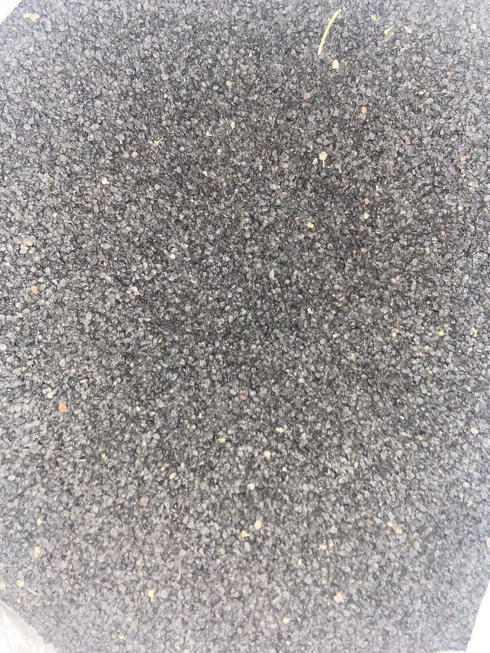 Продажа лука севка Штутгартер, Белый орел и семян чернушки - Барахолка в Чебоксары