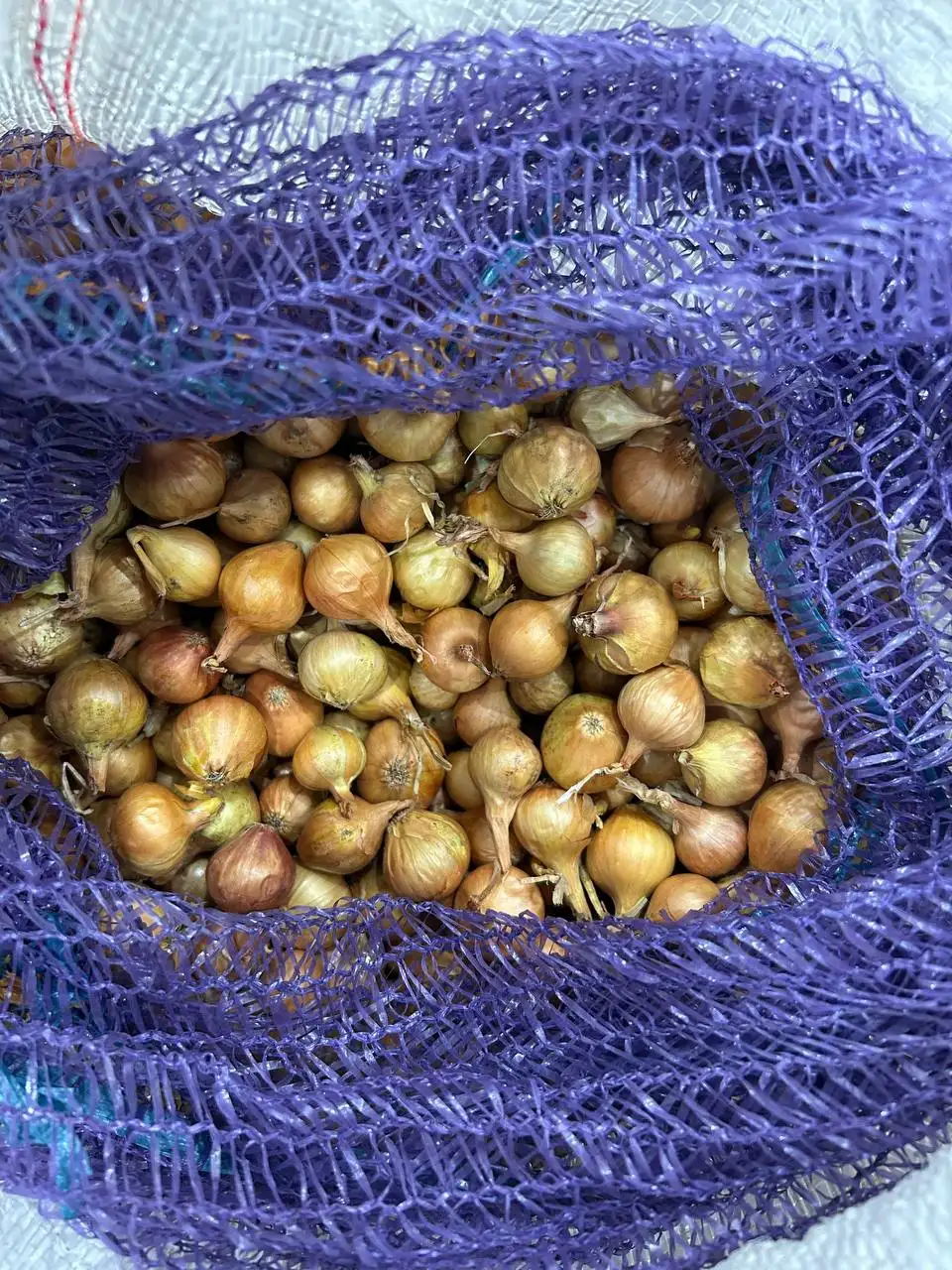 Продажа лука-севка и семян лука с огорода - Продукты питания (Барахолка) в Чебоксары