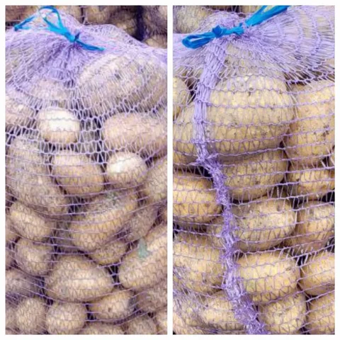 Домашняя картошка сорт Гала - Саженцы в Чебоксары