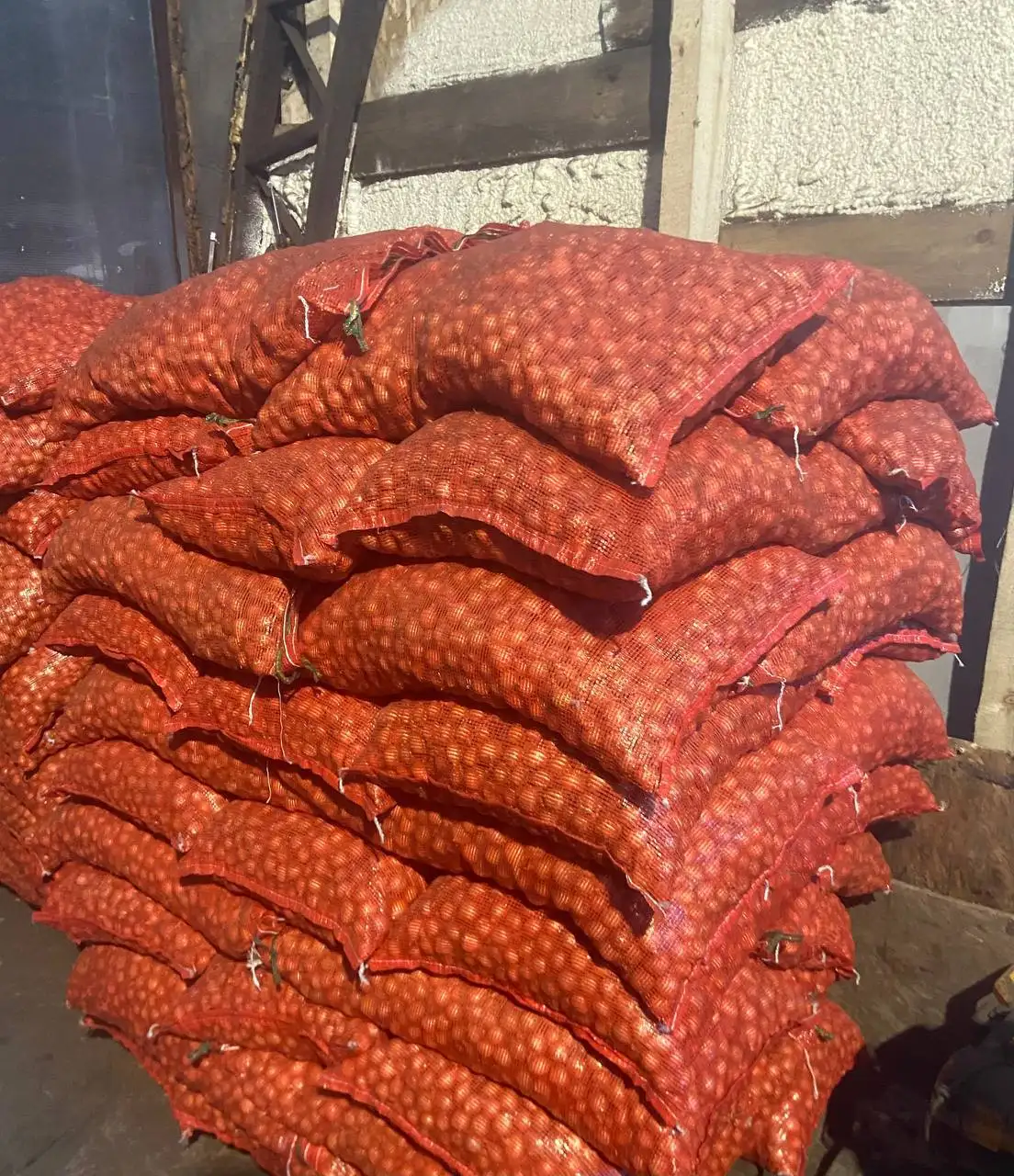 Продажа лука севка штутгартер и семян лука чернушки - Продукты питания (Барахолка) в Чебоксары