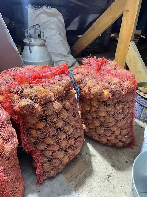 Продам картошку - Яйца в Чебоксары