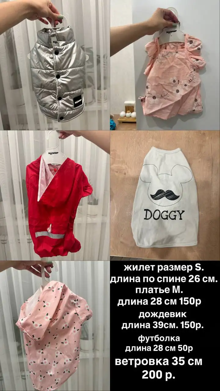 Вещи для животных - Животные в Чебоксары