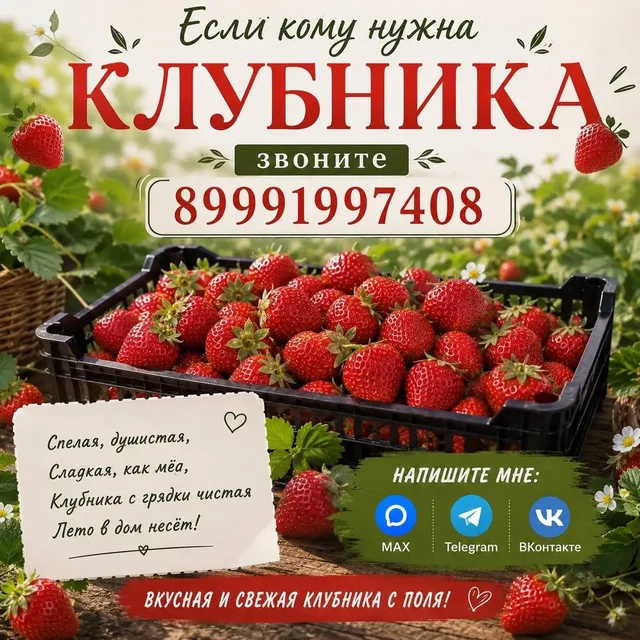 Свежая горномарийская клубника - Сезонные товары в Чебоксары