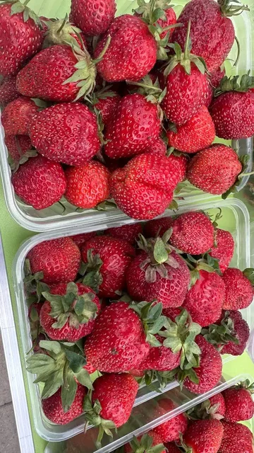 Продажа ягод, овощей и других продуктов - Игры и приставки в Чебоксары