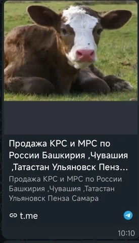 Продам Apple MacBook Pro 14 M1 Pro 16/512 - Электроника в Уфа