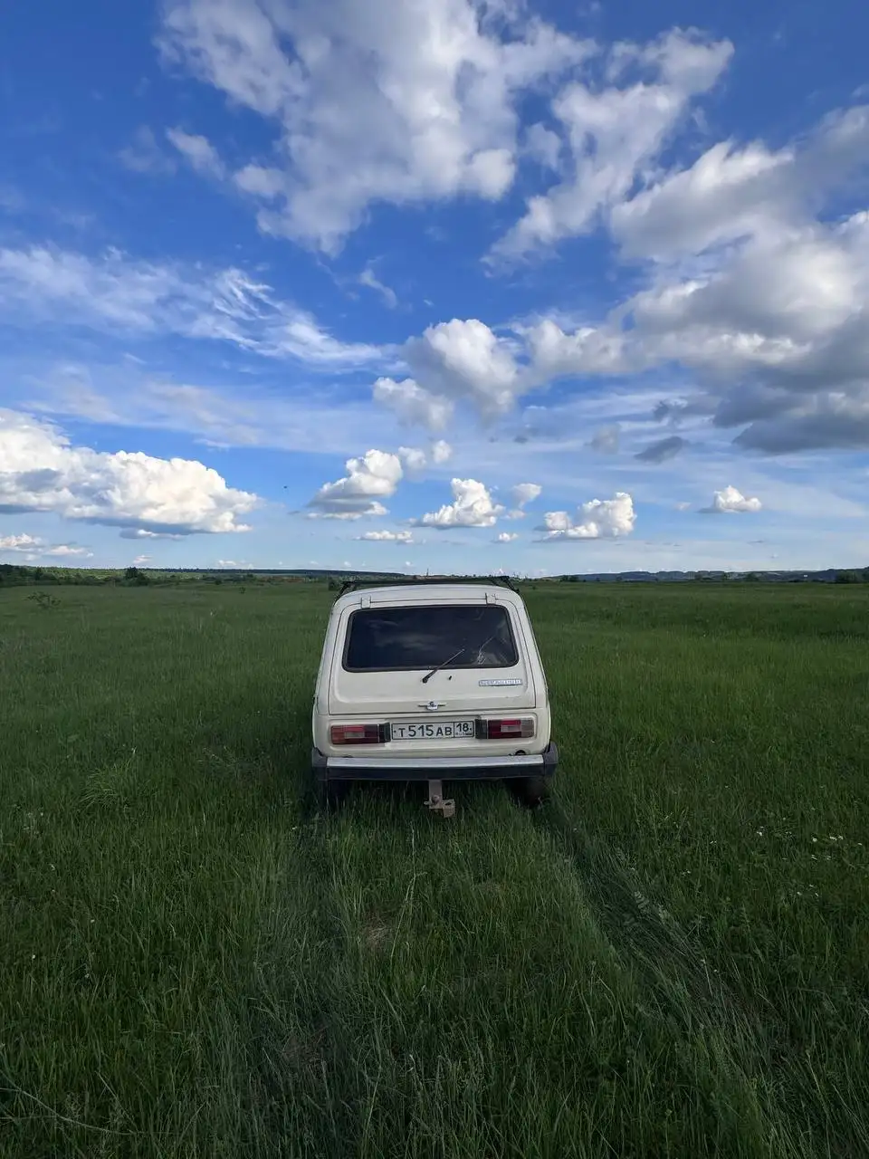 Нива 1994 года - Легковые автомобили (Авто) в Ижевск