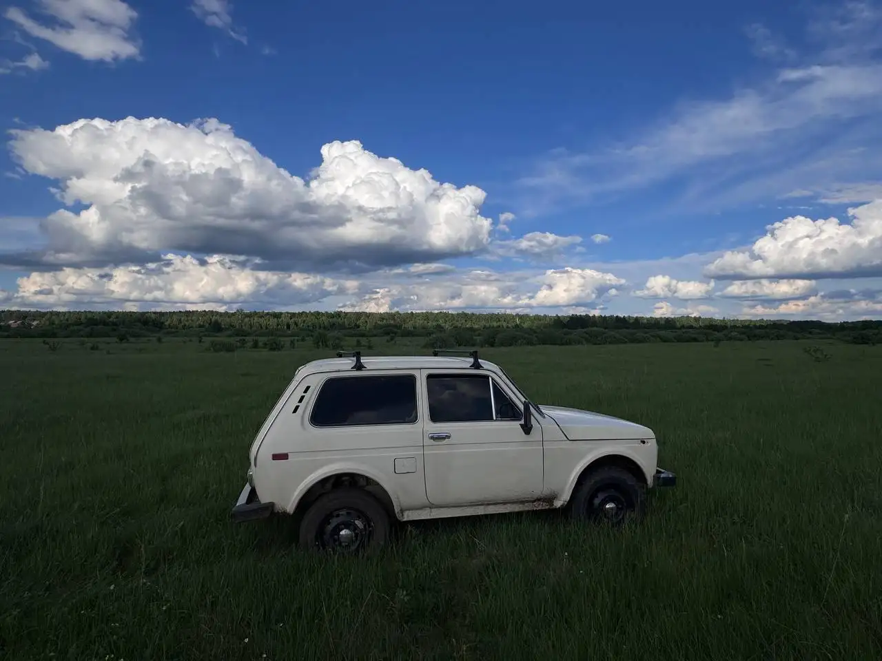 Нива 1994 года - Легковые автомобили (Авто) в Ижевск