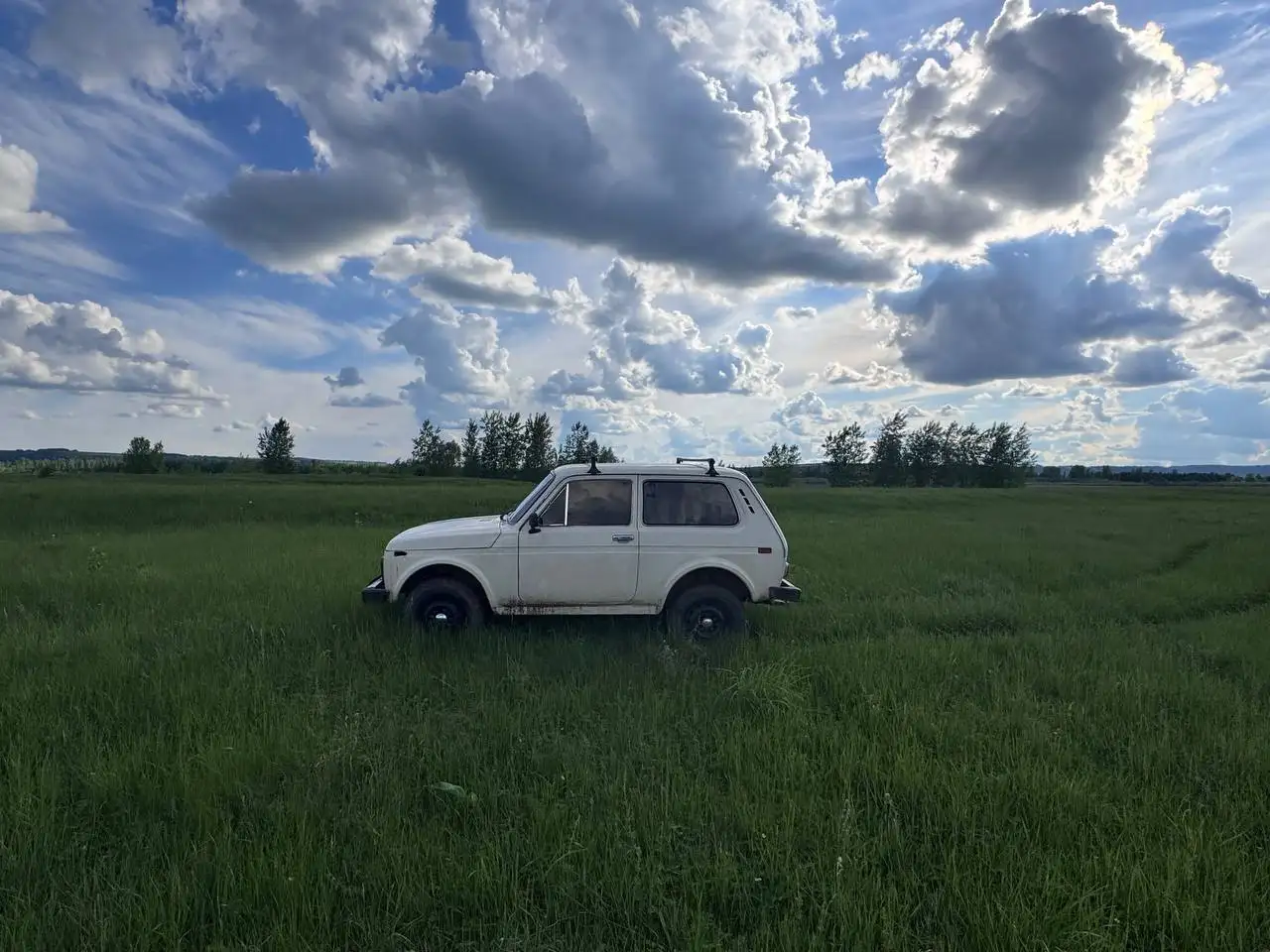 Нива 1994 года - Легковые автомобили (Авто) в Ижевск