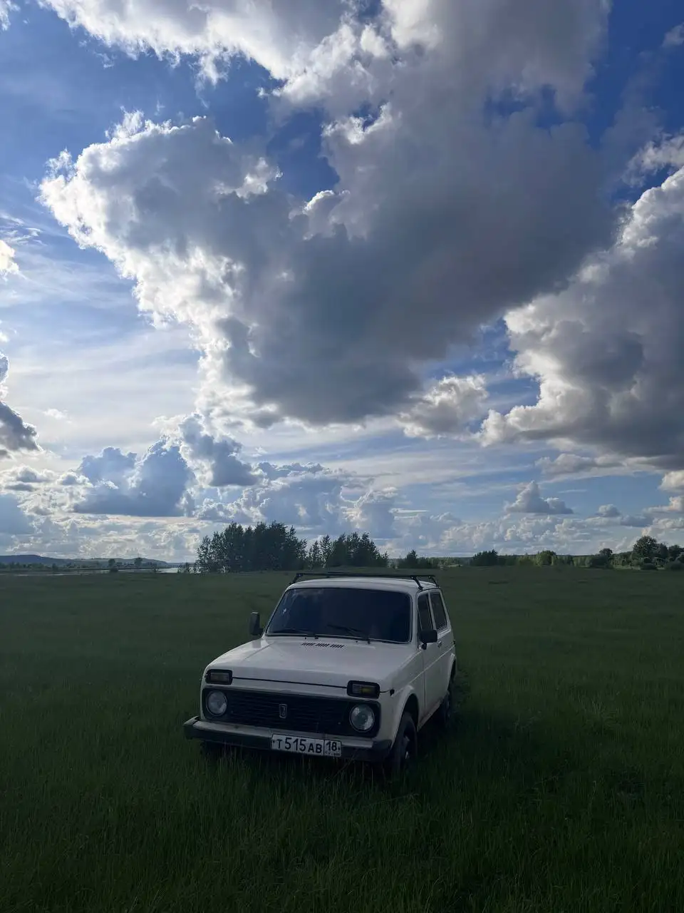 Нива 1994 года - Легковые автомобили (Авто) в Ижевск